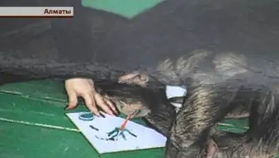 Zakon.kz, фото - Новости Zakon.kz от 02.02.2016 04:45