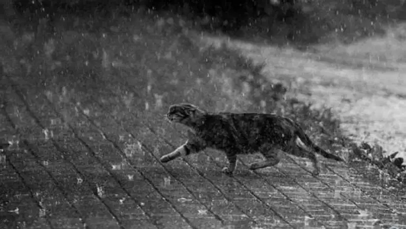 В Южно-Казахстанской области объявили штормовое предупреждение