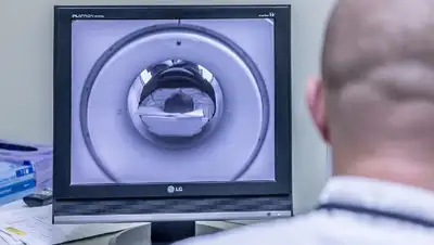 исследование, фото - Новости Zakon.kz от 06.02.2022 22:44