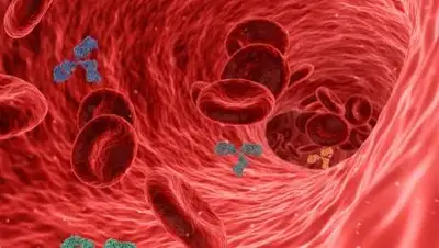 pixabay, фото - Новости Zakon.kz от 29.04.2021 08:30