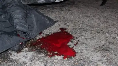 Zakon.kz, фото - Новости Zakon.kz от 19.05.2017 04:03