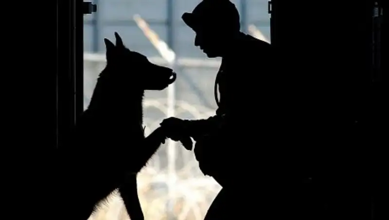 Тело солдата Нацгвардии РК нашли на охранной вышке