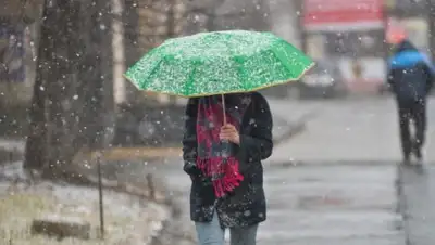 liter, фото - Новости Zakon.kz от 20.03.2020 06:10