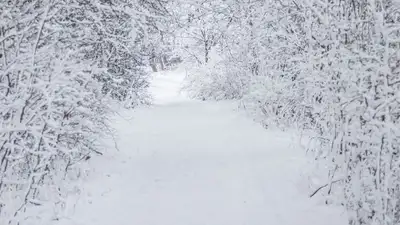 Синоптики прогнозируют метель на большей части Казахстана , фото - Новости Zakon.kz от 01.12.2022 15:11