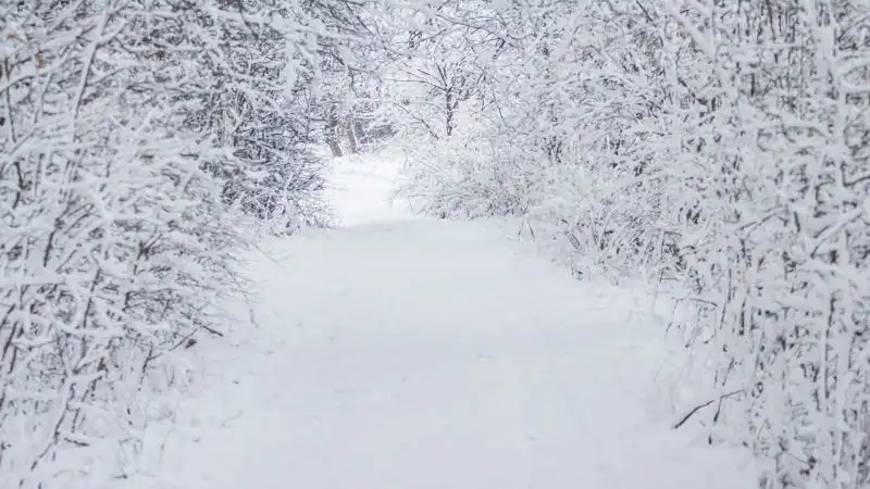 Синоптики прогнозируют метель на большей части Казахстана