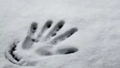 Фото: Варяг, фото - Новости Zakon.kz от 17.01.2018 07:39