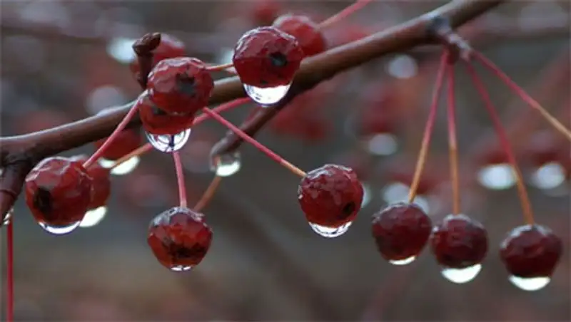 В пятницу на большей части территории Казахстана пройдут осадки