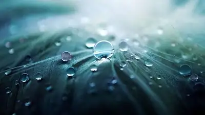 погода, фото - Новости Zakon.kz от 07.06.2023 23:20