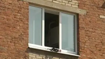 Zakon.kz, фото - Новости Zakon.kz от 21.12.2016 00:54