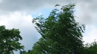 Zakon.kz, фото - Новости Zakon.kz от 10.08.2017 21:53