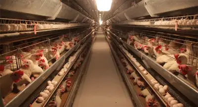 Zakon.kz, фото - Новости Zakon.kz от 25.08.2014 15:53