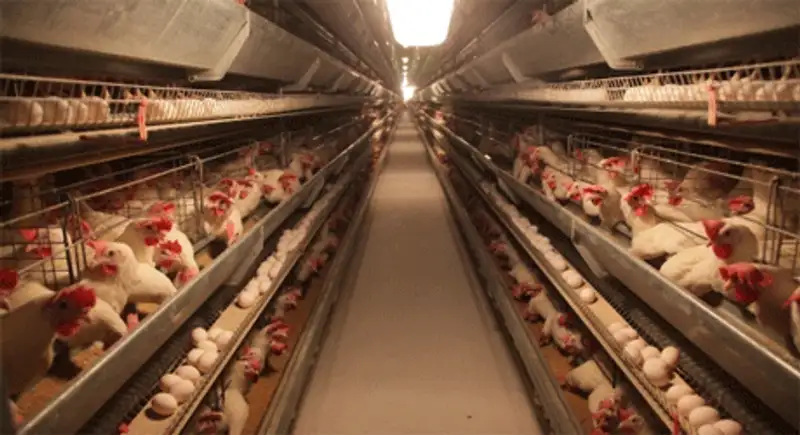 Как Казахстану не проиграть в "голодных играх"?