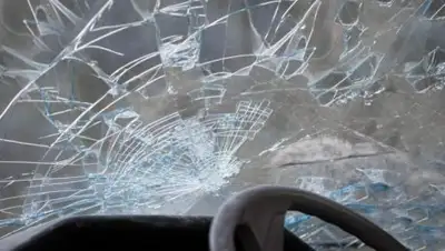 alau.kz, фото - Новости Zakon.kz от 19.02.2018 21:22