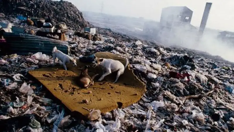 В Костанае из-за невозможности переработки мусор отправляют в Россию