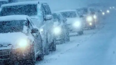 yandex, фото - Новости Zakon.kz от 17.01.2020 19:39