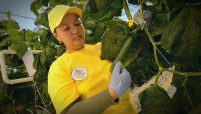 Zakon.kz, фото - Новости Zakon.kz от 13.12.2017 10:32