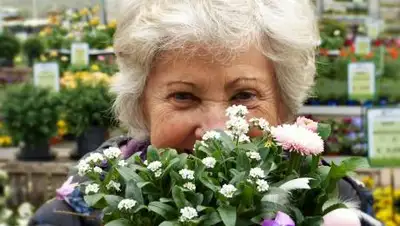 pixabay.com, фото - Новости Zakon.kz от 24.08.2021 18:01