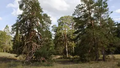 Zakon.kz, фото - Новости Zakon.kz от 21.10.2014 20:46