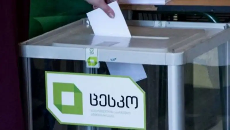 На выборы президента Грузии поедут наблюдатели от Казахстана