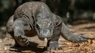 Zakon.kz, фото - Новости Zakon.kz от 05.11.2016 20:25