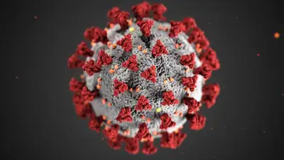 181 человек заразились коронавирусом за сутки в Казахстане