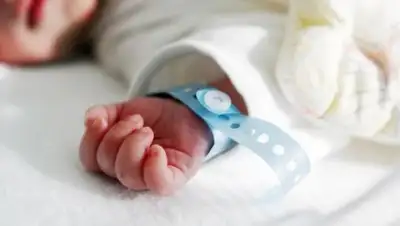 Zakon.kz, фото - Новости Zakon.kz от 24.01.2017 03:27