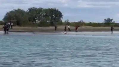 Кадр из видео, фото - Новости Zakon.kz от 13.08.2020 16:30