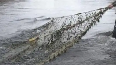 Zakon.kz, фото - Новости Zakon.kz от 01.06.2016 21:40