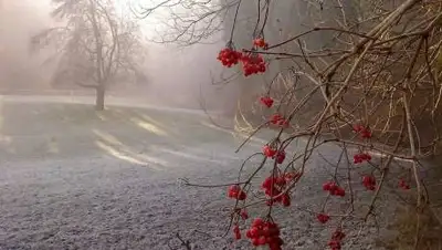 pixabay.com, фото - Новости Zakon.kz от 28.09.2020 11:55