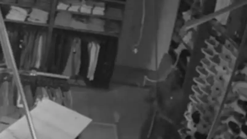 В США незадачливый вор не мог выбраться из магазина, который хотел ограбить