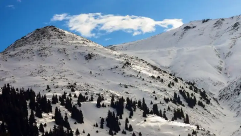 Алматинские спасатели эвакуировали девушку, получившую тяжелую травму в горах