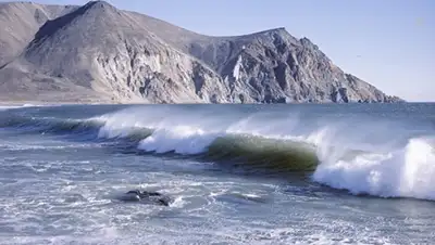 Zakon.kz, фото - Новости Zakon.kz от 01.12.2014 21:35