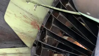 попадание птицы, фото - Новости Zakon.kz от 29.08.2022 10:28