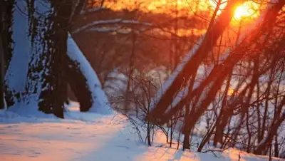 Zakon.kz, фото - Новости Zakon.kz от 11.12.2014 15:19