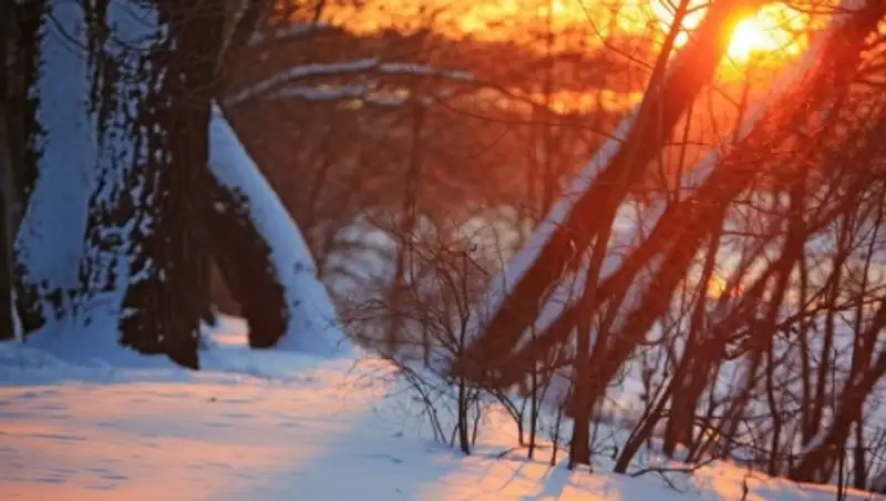 В ближайшие два дня казахстанские синоптики обещают малооблачную морозную погоду