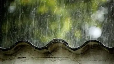 Zakon.kz, фото - Новости Zakon.kz от 30.06.2016 13:05