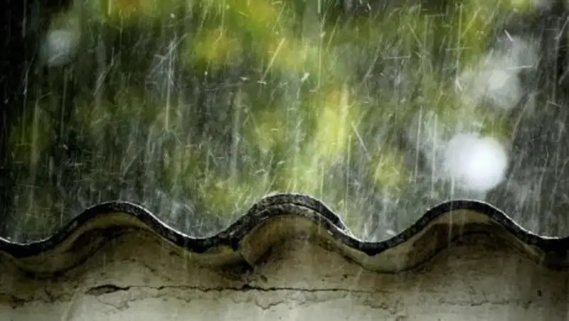 30 июня на севере, востоке и центре Казахстана сохраняются дожди с грозами 