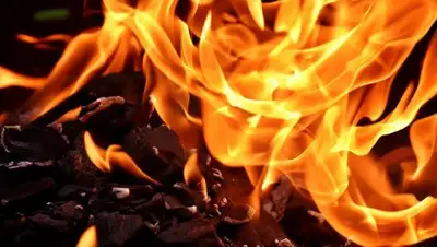 pixabay, фото - Новости Zakon.kz от 26.02.2019 06:52