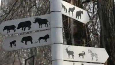 Zakon.kz, фото - Новости Zakon.kz от 08.01.2015 21:23