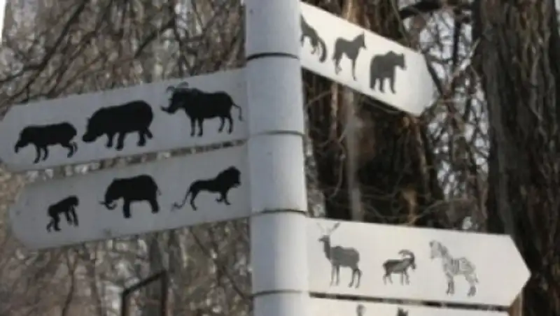 В Шымкентском зоопарке прокомментировали инцидент с каннибализмом