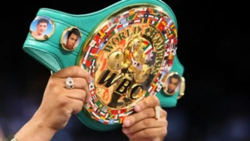 WBC: Победители пар Котто-Альварес и Головкин-Мюррей должны провести бой