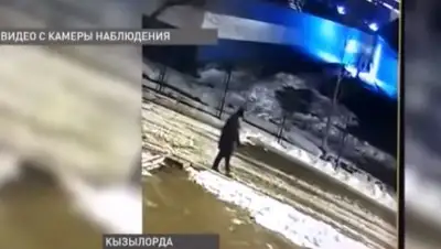 Скриншот видео, фото - Новости Zakon.kz от 25.02.2020 09:31