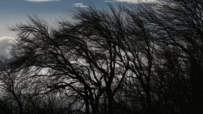 sputniknews.kz, фото - Новости Zakon.kz от 20.04.2018 09:32