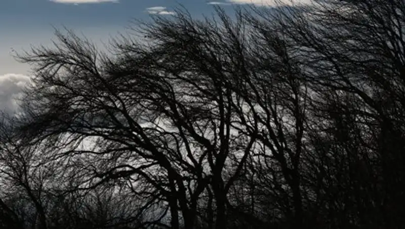 Ветреная и туманная погода ожидается в Казахстане