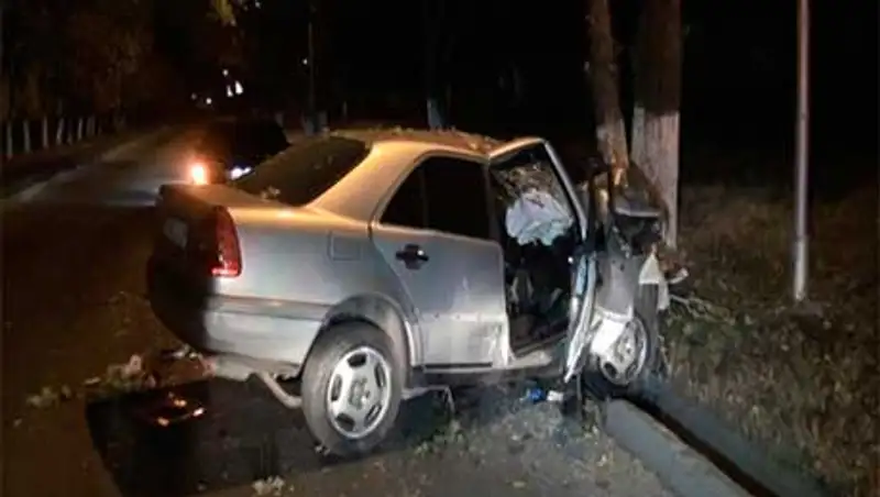 Водитель Мерседеса врезался в дерево на трассе Алматы-Бишкек, погибли 2 человека, фото - Новости Zakon.kz от 22.11.2013 23:11