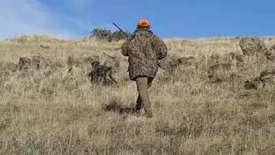 pixabay.com, фото - Новости Zakon.kz от 03.08.2021 11:14