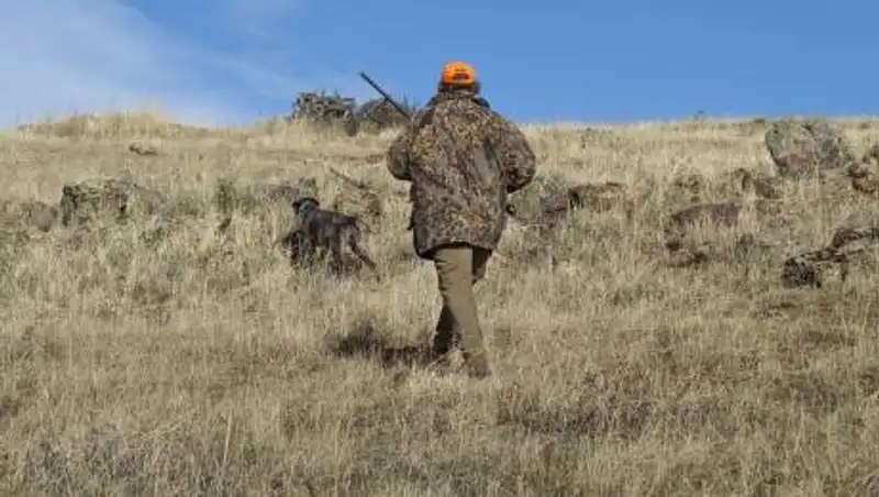 Браконьеры устроили перестрелку в Кызылординской области