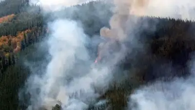 Zakon.kz, фото - Новости Zakon.kz от 22.01.2017 17:20