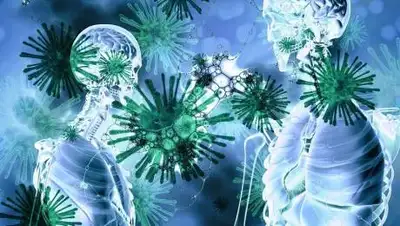 pixabay.com, фото - Новости Zakon.kz от 21.10.2020 13:05