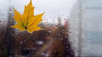 Zakon.kz, фото - Новости Zakon.kz от 04.10.2017 06:00